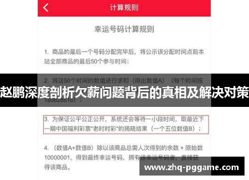 赵鹏深度剖析欠薪问题背后的真相及解决对策