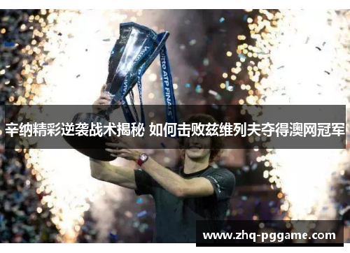 辛纳精彩逆袭战术揭秘 如何击败兹维列夫夺得澳网冠军