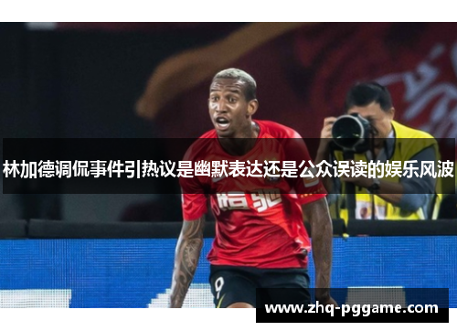 林加德调侃事件引热议是幽默表达还是公众误读的娱乐风波