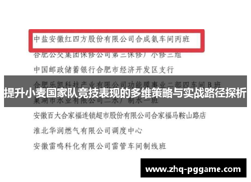 提升小麦国家队竞技表现的多维策略与实战路径探析